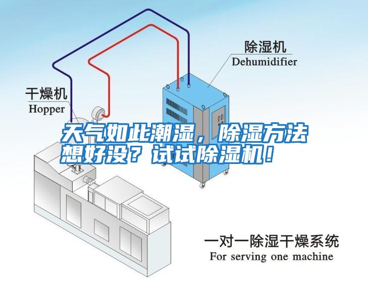 天氣如此潮濕，除濕方法想好沒？試試除濕機(jī)！