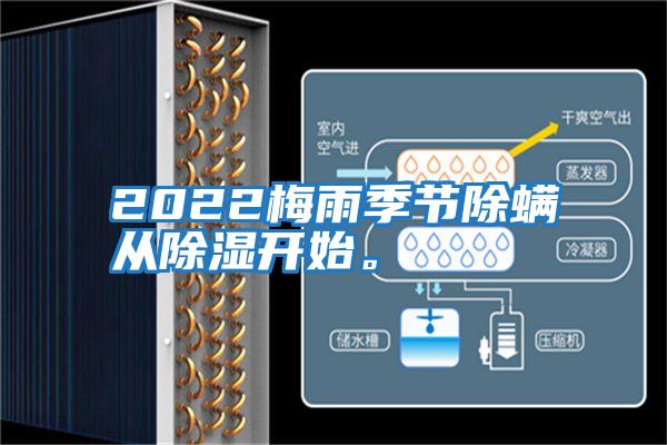 2022梅雨季節(jié)除螨從除濕開始。