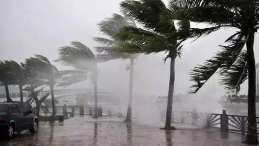 8月臺(tái)風(fēng)雨即將來，除濕機(jī)還得用起來