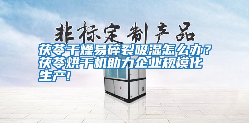 茯苓干燥易碎裂吸濕怎么辦？茯苓烘干機助力企業(yè)規(guī)模化生產(chǎn)!