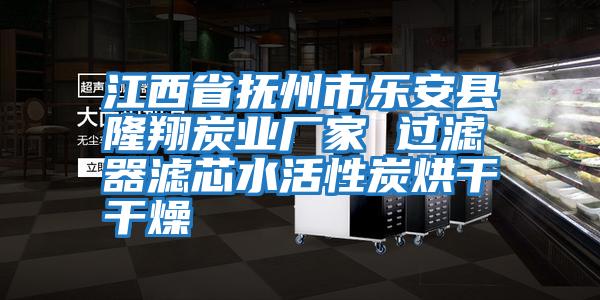 江西省撫州市樂(lè)安縣隆翔炭業(yè)廠家 過(guò)濾器濾芯水活性炭烘干干燥