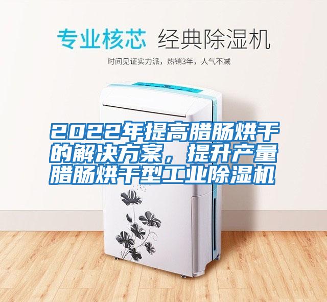 2022年提高臘腸烘干的解決方案，提升產(chǎn)量臘腸烘干型工業(yè)除濕機(jī)