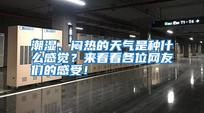 潮濕、悶熱的天氣是種什么感覺？來(lái)看看各位網(wǎng)友們的感受！