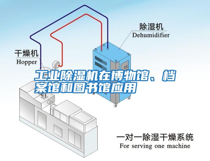 工業(yè)除濕機(jī)在博物館、檔案館和圖書(shū)館應(yīng)用