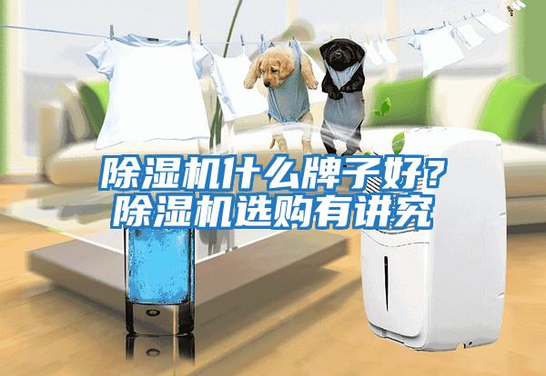 除濕機什么牌子好？除濕機選購有講究