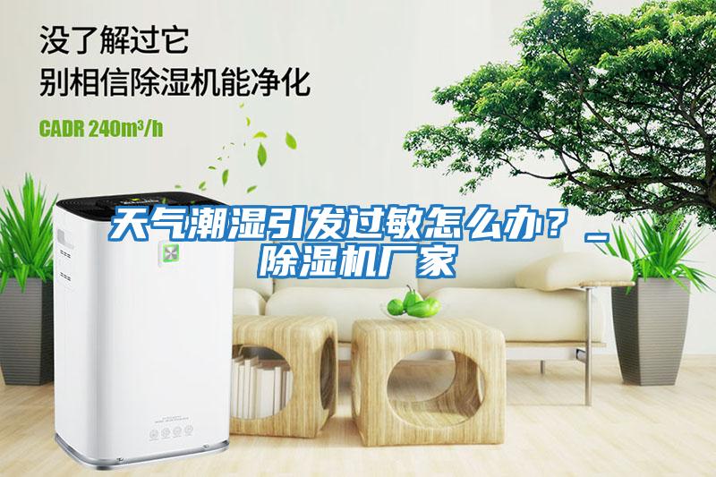 天氣潮濕引發(fā)過敏怎么辦？_除濕機廠家