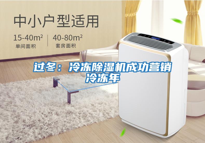 過冬：冷凍除濕機(jī)成功營銷冷凍年