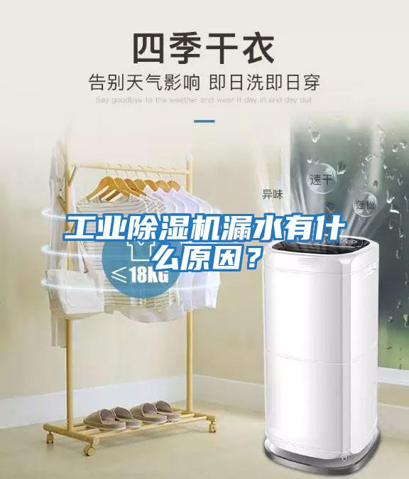 工業(yè)除濕機漏水有什么原因？