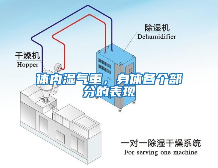 體內(nèi)濕氣重，身體各個(gè)部分的表現(xiàn)