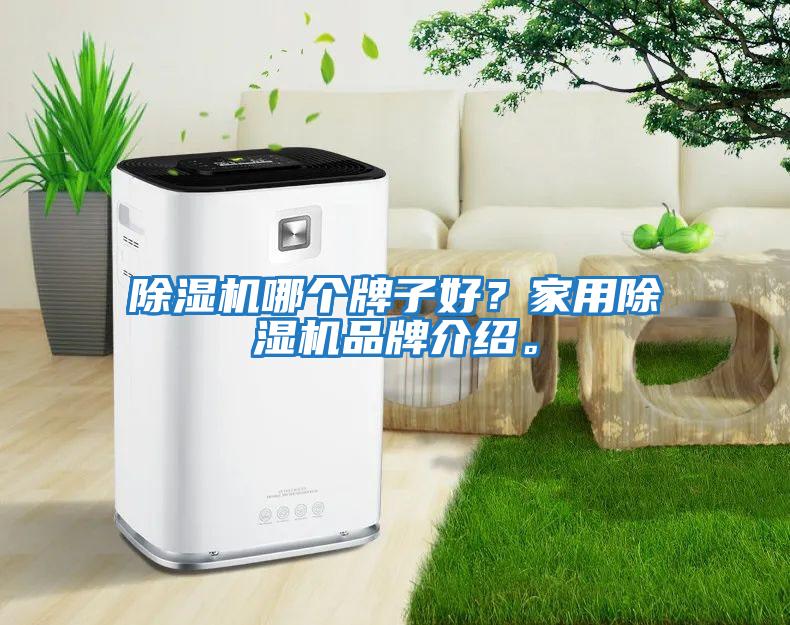 除濕機(jī)哪個牌子好？家用除濕機(jī)品牌介紹。