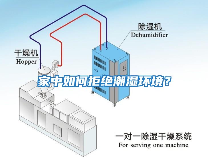 家中如何拒絕潮濕環(huán)境？