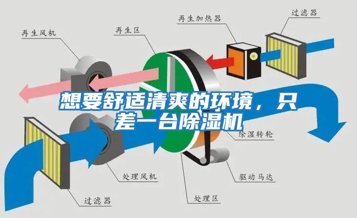 想要舒適清爽的環(huán)境，只差一臺(tái)除濕機(jī)