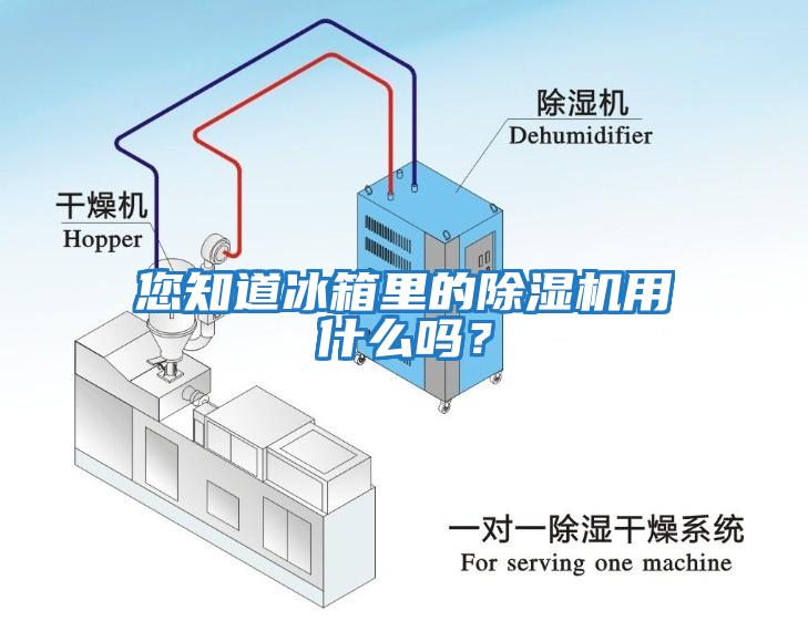 您知道冰箱里的除濕機用什么嗎？