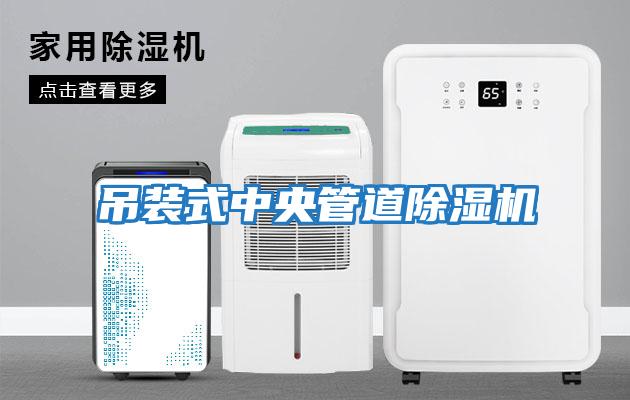 吊裝式中央管道除濕機