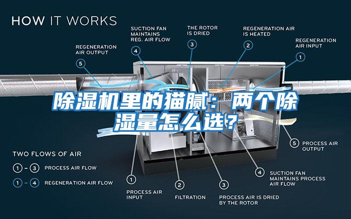 除濕機(jī)里的貓膩：兩個除濕量怎么選？