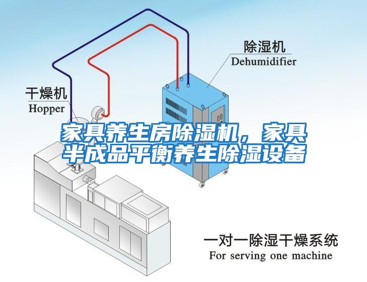 家具養(yǎng)生房除濕機(jī)，家具半成品平衡養(yǎng)生除濕設(shè)備