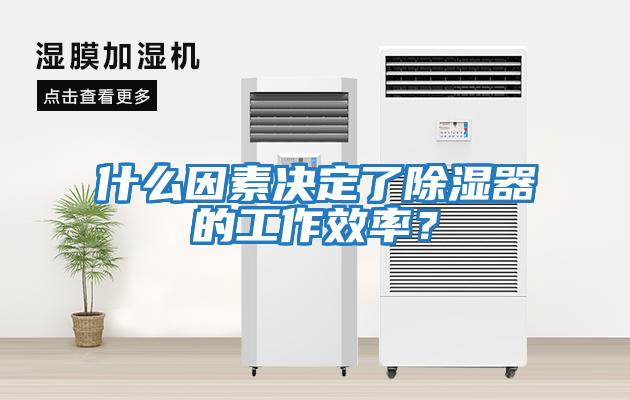 什么因素決定了除濕器的工作效率？