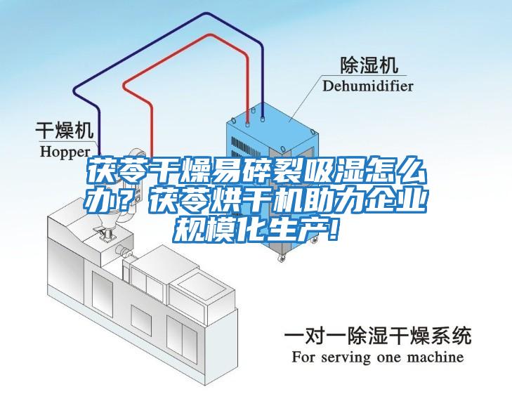 茯苓干燥易碎裂吸濕怎么辦？茯苓烘干機(jī)助力企業(yè)規(guī)?；a(chǎn)!