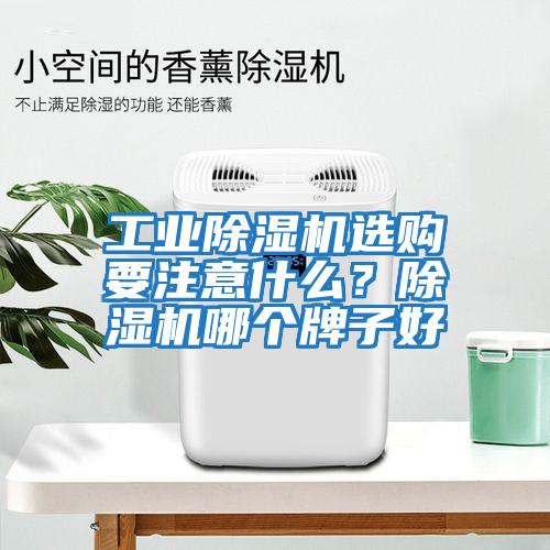 工業(yè)除濕機(jī)選購(gòu)要注意什么？除濕機(jī)哪個(gè)牌子好