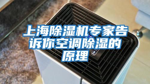 上海除濕機專家告訴你空調(diào)除濕的原理