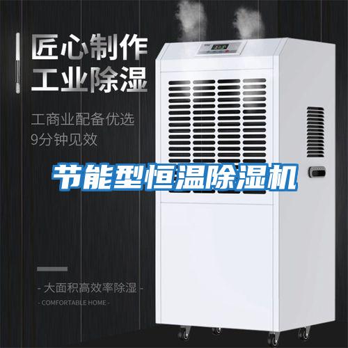 節(jié)能型恒溫除濕機