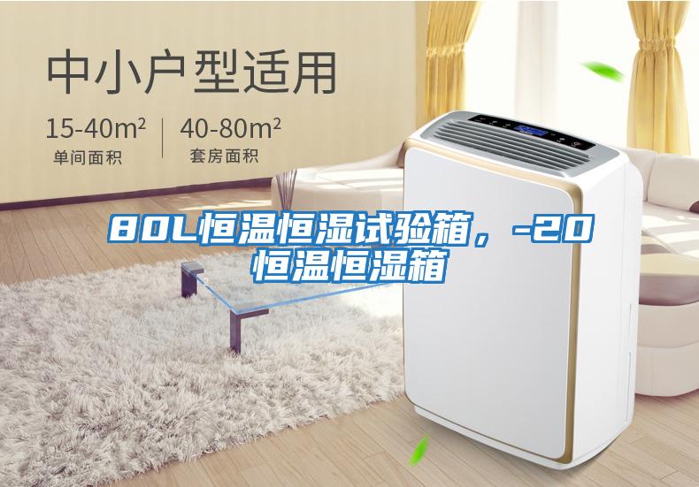 80L恒溫恒濕試驗箱，-20℃恒溫恒濕箱