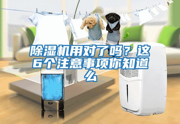 除濕機(jī)用對了嗎？這6個注意事項你知道么