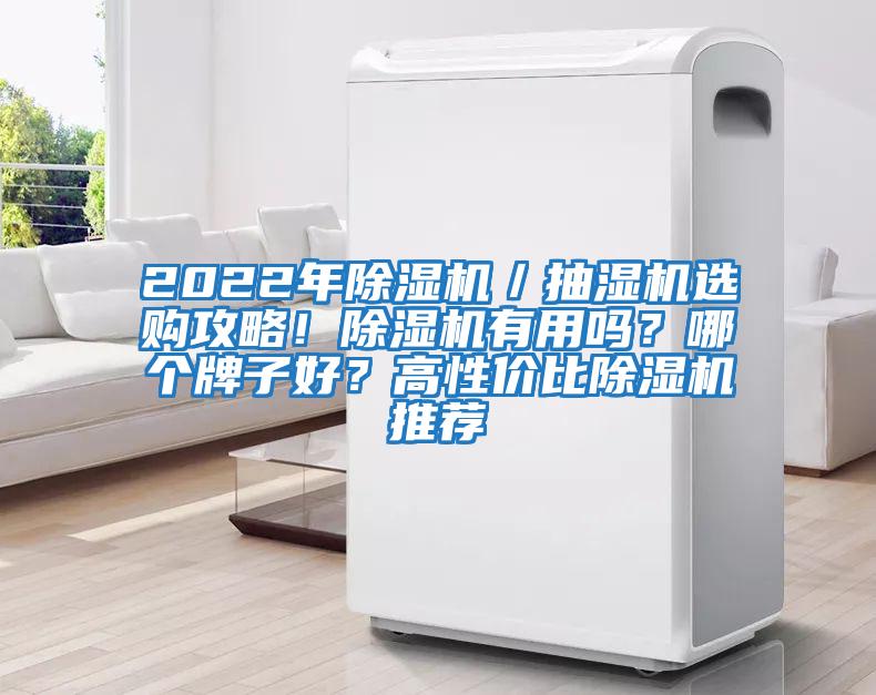 2022年除濕機／抽濕機選購攻略！除濕機有用嗎？哪個牌子好？高性價比除濕機推薦