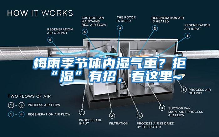 梅雨季節(jié)體內(nèi)濕氣重？拒“濕”有招，看這里~