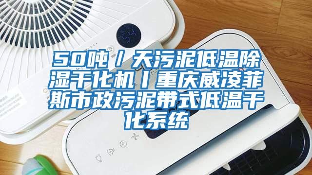 50噸／天污泥低溫除濕干化機丨重慶威凌菲斯市政污泥帶式低溫干化系統(tǒng)