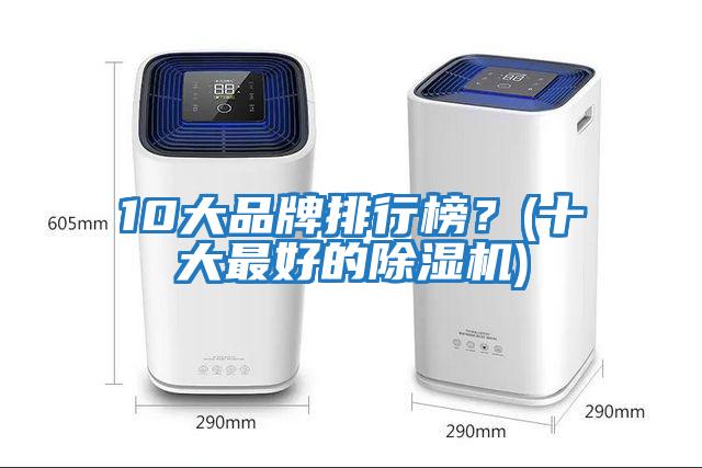 10大品牌排行榜？(十大最好的除濕機(jī))