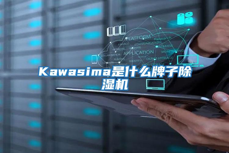 Kawasima是什么牌子除濕機