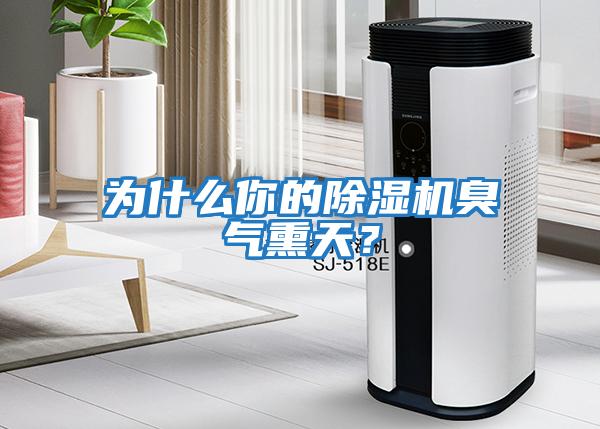 為什么你的除濕機臭氣熏天？