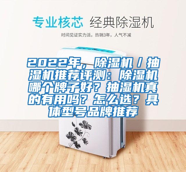 2022年，除濕機(jī)／抽濕機(jī)推薦評(píng)測(cè)：除濕機(jī)哪個(gè)牌子好？抽濕機(jī)真的有用嗎？怎么選？具體型號(hào)品牌推薦