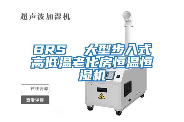 BRS  大型步入式高低溫老化房恒溫恒濕機