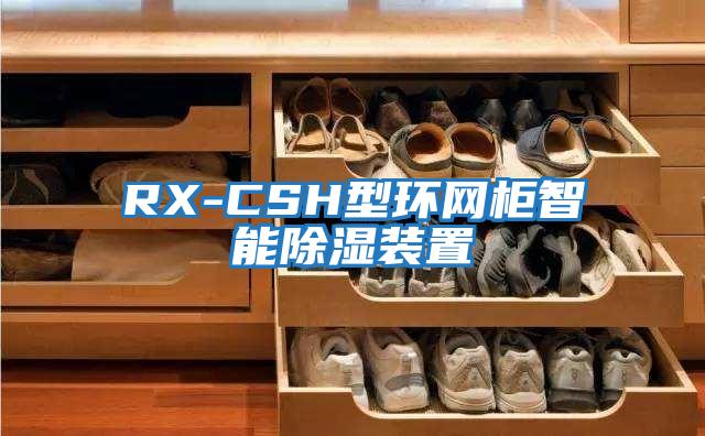 RX-CSH型環(huán)網柜智能除濕裝置