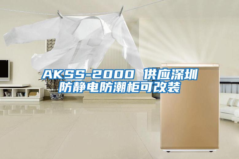 AKSS-2000 供應(yīng)深圳防靜電防潮柜可改裝