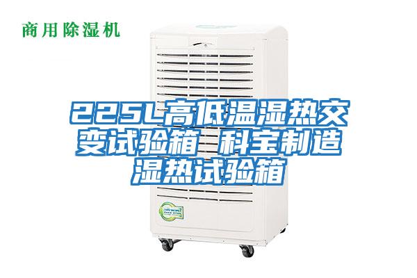 225L高低溫濕熱交變?cè)囼?yàn)箱 科寶制造濕熱試驗(yàn)箱