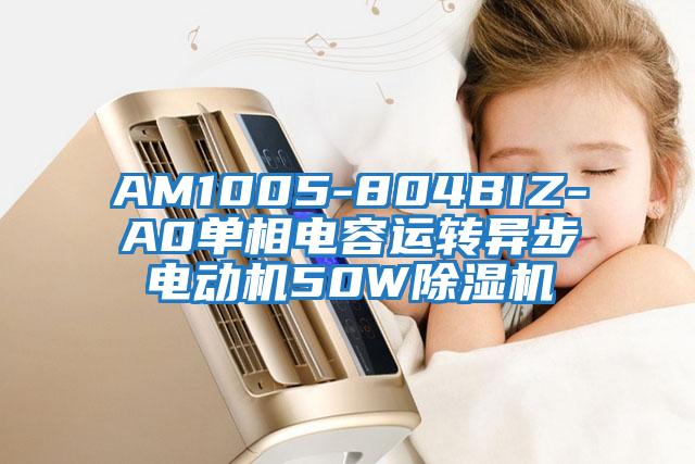 AM1005-804BIZ-A0單相電容運(yùn)轉(zhuǎn)異步電動機(jī)50W除濕機(jī)