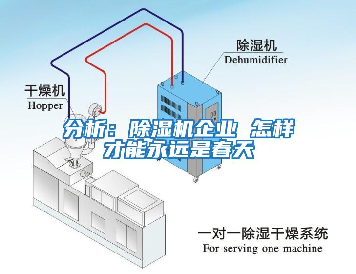 分析：除濕機企業(yè) 怎樣才能永遠是春天