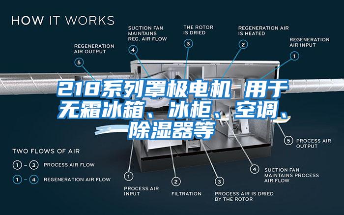 218系列罩極電機(jī) 用于無霜冰箱、冰柜、空調(diào)、除濕器等