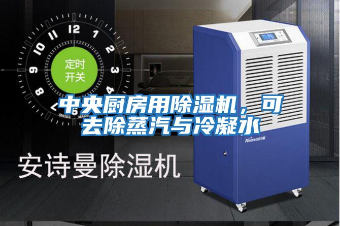 中央廚房用除濕機(jī)，可去除蒸汽與冷凝水