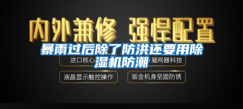 暴雨過后除了防洪還要用除濕機防潮