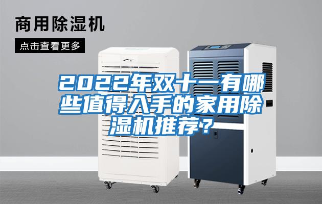 2022年雙十一有哪些值得入手的家用除濕機推薦？