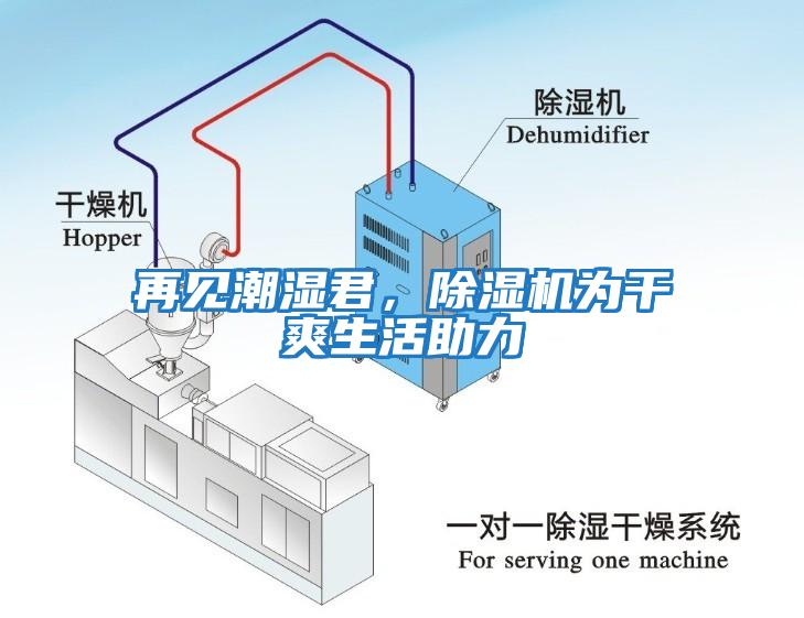 再見潮濕君，除濕機為干爽生活助力