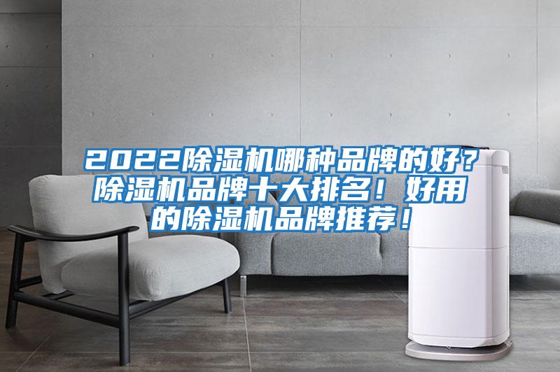 2022除濕機(jī)哪種品牌的好？除濕機(jī)品牌十大排名！好用的除濕機(jī)品牌推薦！