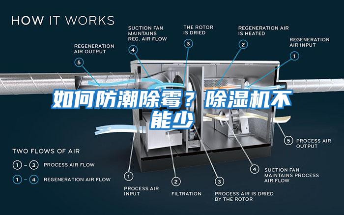 如何防潮除霉？除濕機(jī)不能少