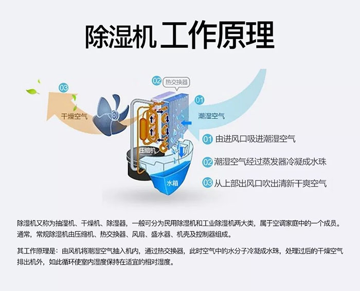 中藥材怎么烘干不變色？中藥材烘干用除濕機