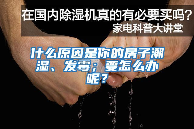 什么原因是你的房子潮濕、發(fā)霉；要怎么辦呢？