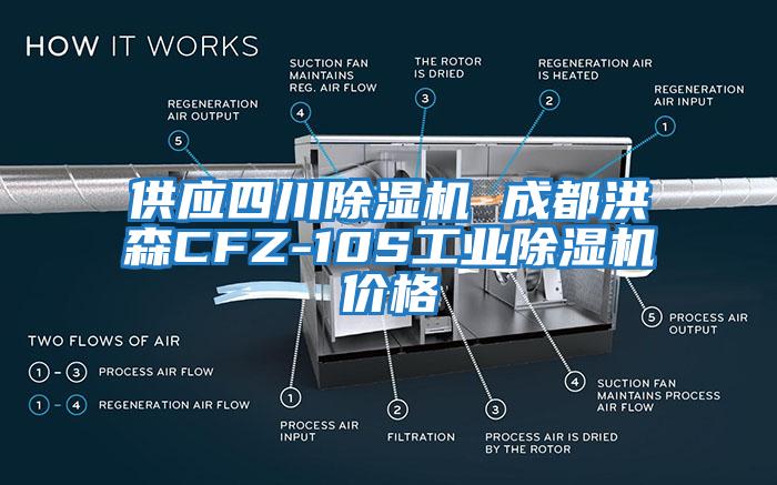 供應四川除濕機 成都洪森CFZ-10S工業(yè)除濕機價格